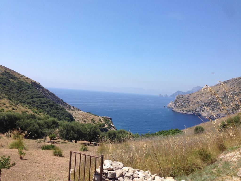 Olga'S Residence Relais Nerano Eksteriør bilde